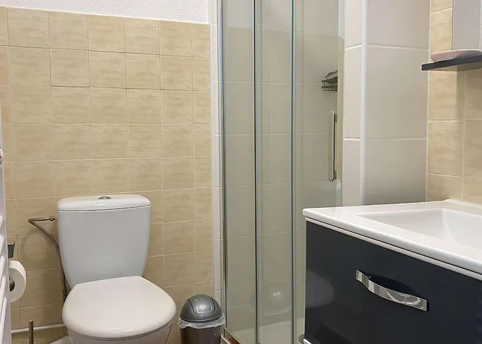 T1 Avec Climatisation, Balcon Et Cuisine Equipee - Fr-1-553-249 *