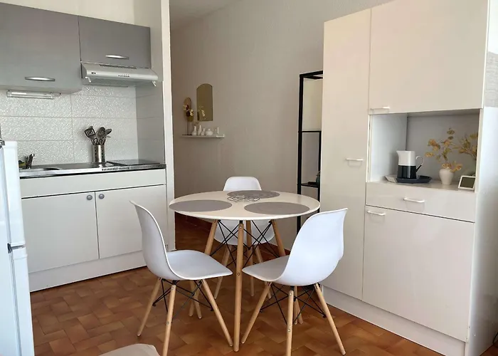 T1 Avec Climatisation, Balcon Et Cuisine Equipee - Fr-1-553-249 * Balaruc-les-Bains