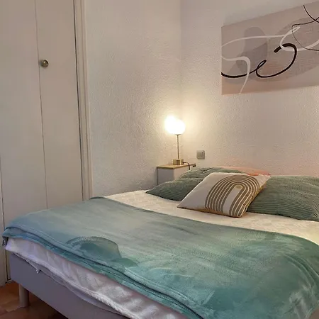 T1 Avec Climatisation, Balcon Et Cuisine Equipee - Fr-1-553-249 Appartement